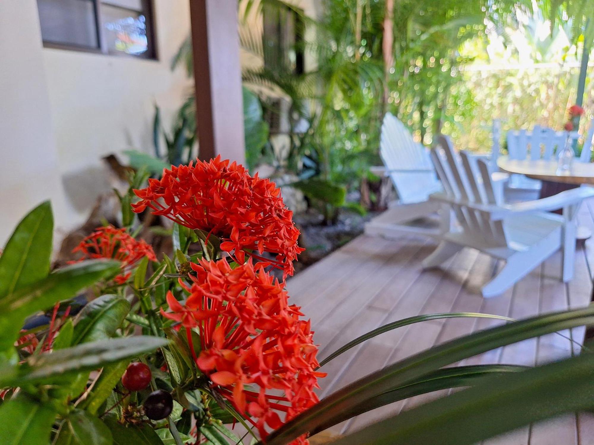 Infiniti Hotel Puerto Viejo de Talamanca Zewnętrze zdjęcie